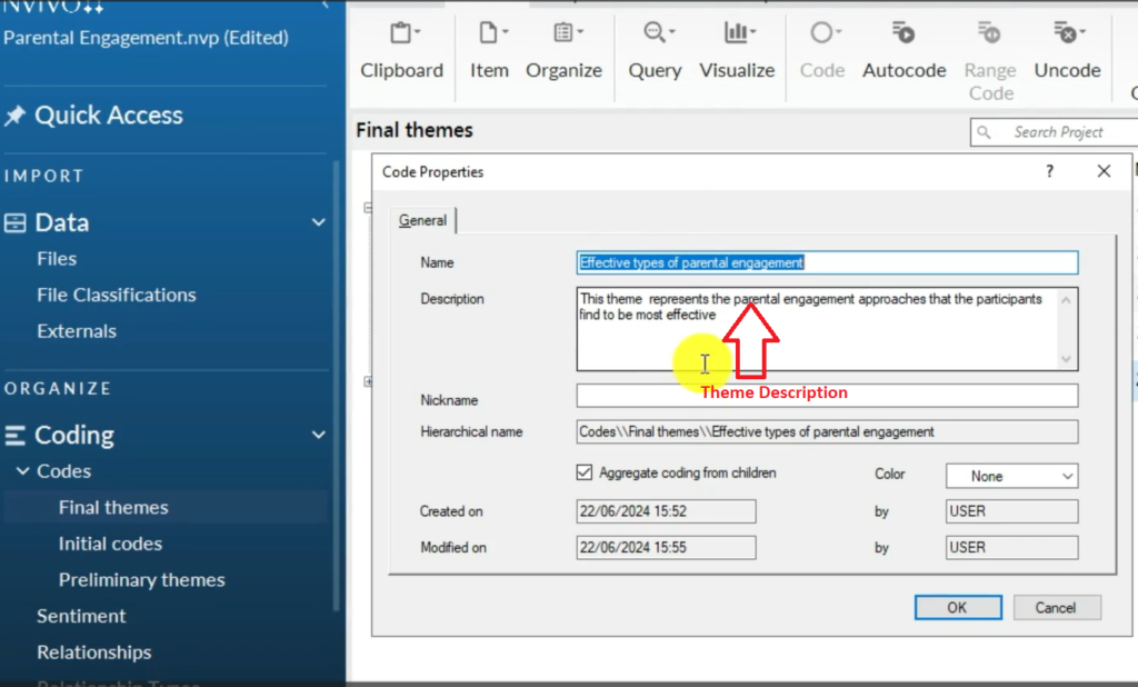 Image showing a theme description in Nvivo 14