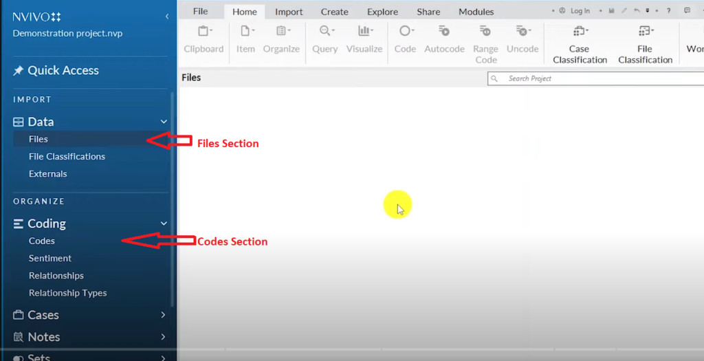 Image showing the files and the codes section in Nvivo 14