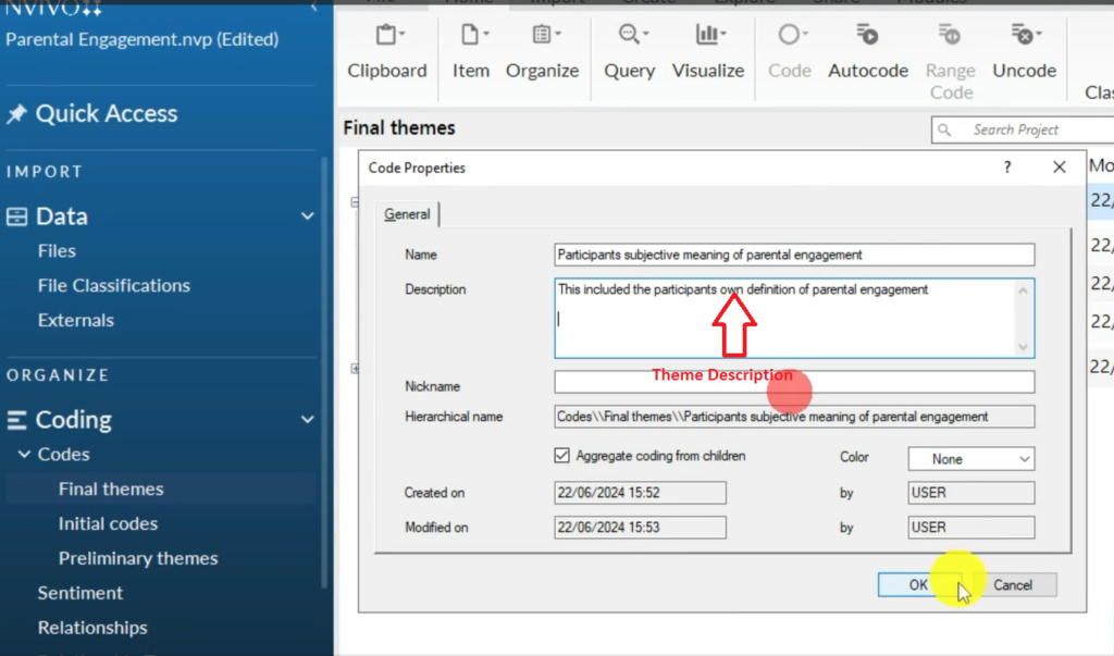 Image showing theme description in Nvivo 14