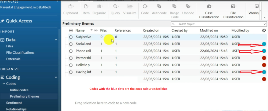 Image showing odes colour coded blue in Nvivo 14