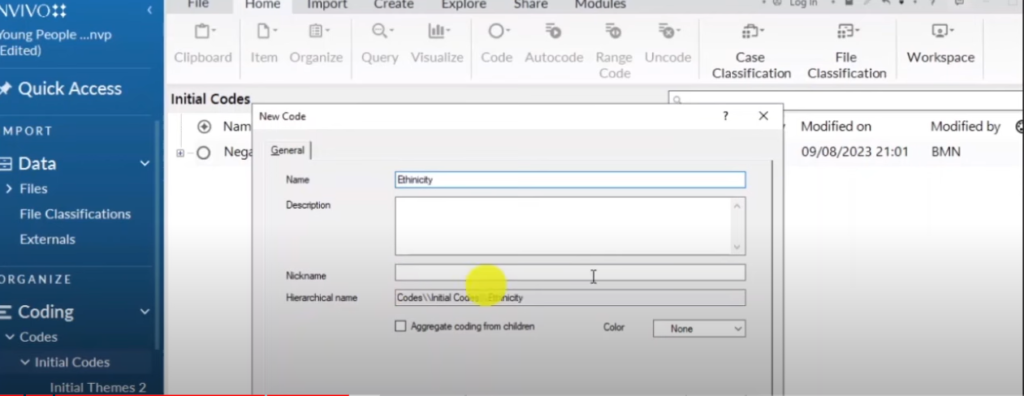 Image showing the creation of a theme in Nvivo 14