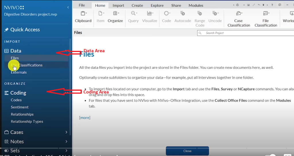 Image showing the data area and the coding area in Nvivo 14