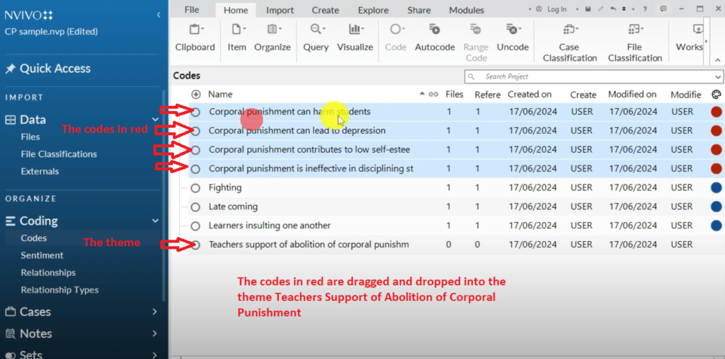 Image showing codes and a theme in Nvivo 14