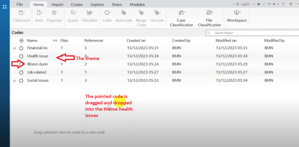 Image showing a code to be dropped into a theme in Nvivo 14