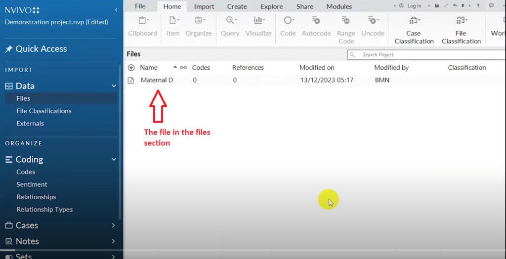 Image showing a transcript in the files section