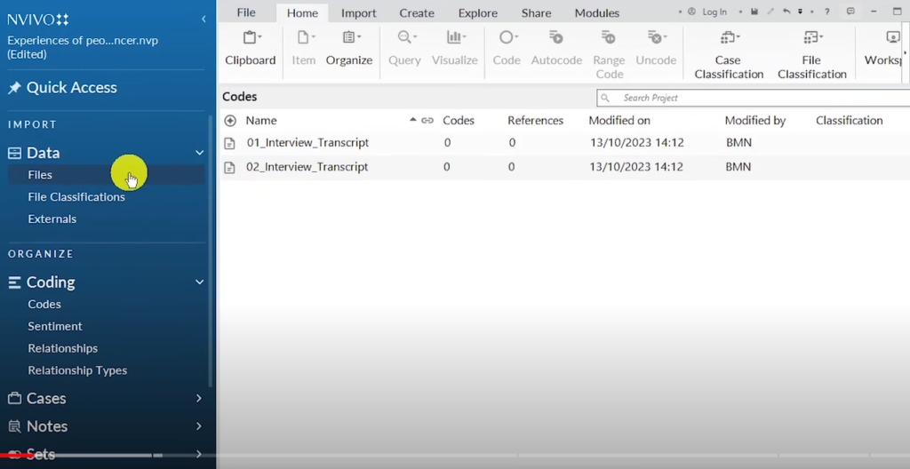 Image showing two transcripts in the files section of Nvivo 14.