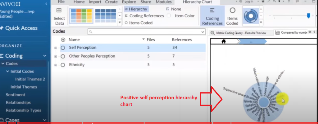 Image of a hierarchy chart as a visual obtained from Nvivo 14