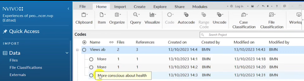 Image showing a theme with its codes in Nvivo 14