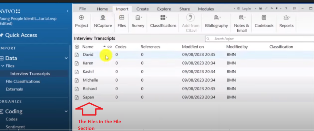 Image showing transcripts in a files section of Nvivo 14