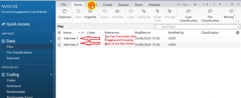 Image showing two transcripts in the files section in Nvivo 14