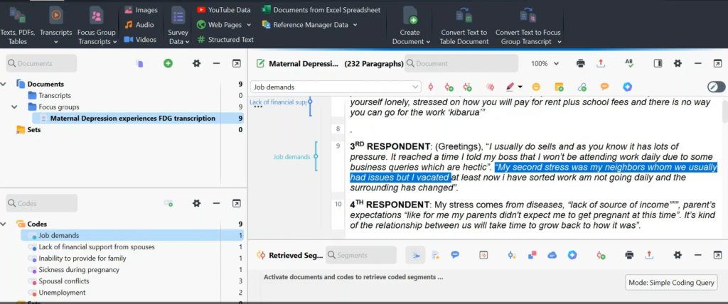 Image highlighting a section of a transcript in Max QDA