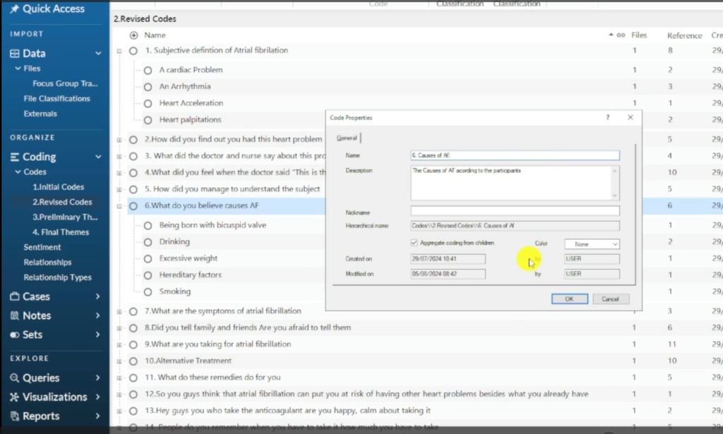 Image showing a theme in Nvivo 14.