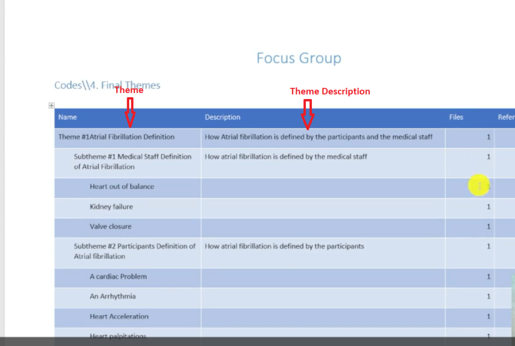 Image showing a theme and its description in a codebook.