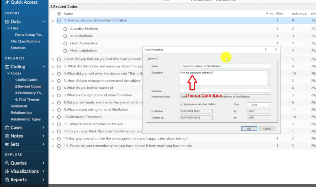 Image showing the definition of a theme in Nvivo 14.