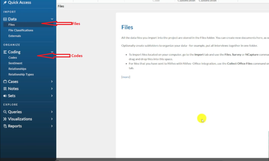 Image pointing at the files and the codes section in Nvivo 14.