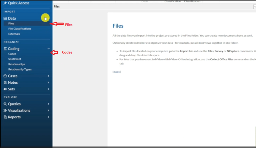 Image showing the files and the codes section in Nvivo 14