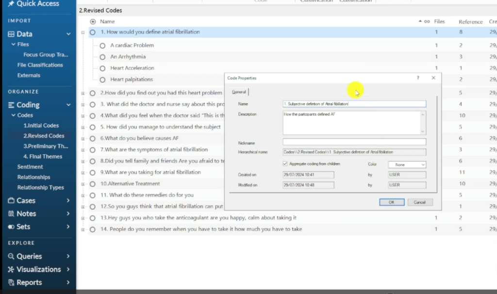 Image showing a theme in Nvivo 14.