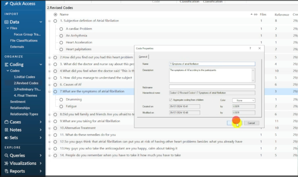 Image showing a theme in Nvivo 14.