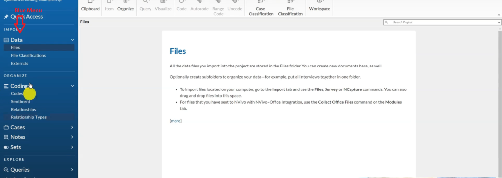 Image showing the blue menu in Nvivo 14