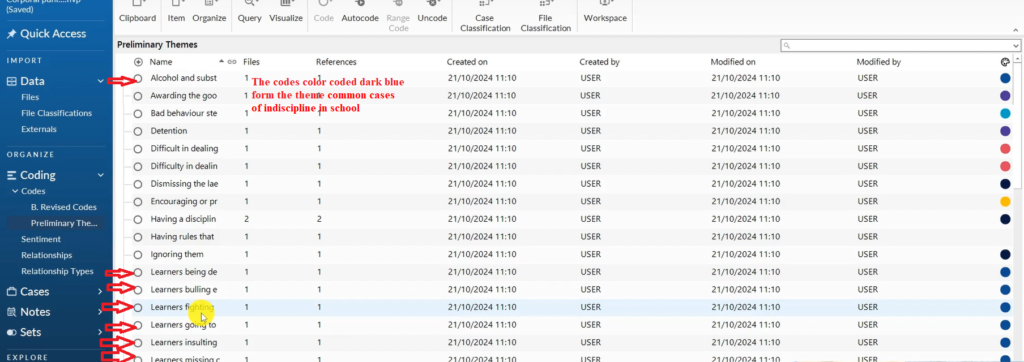 Image showing colour coded codes in Nvivo 14