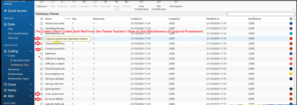 Image showing colour coded codes in Nvivo 14