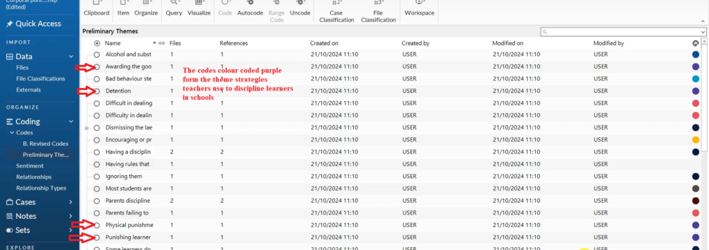 Image showing colour coded codes in Nvivo 14