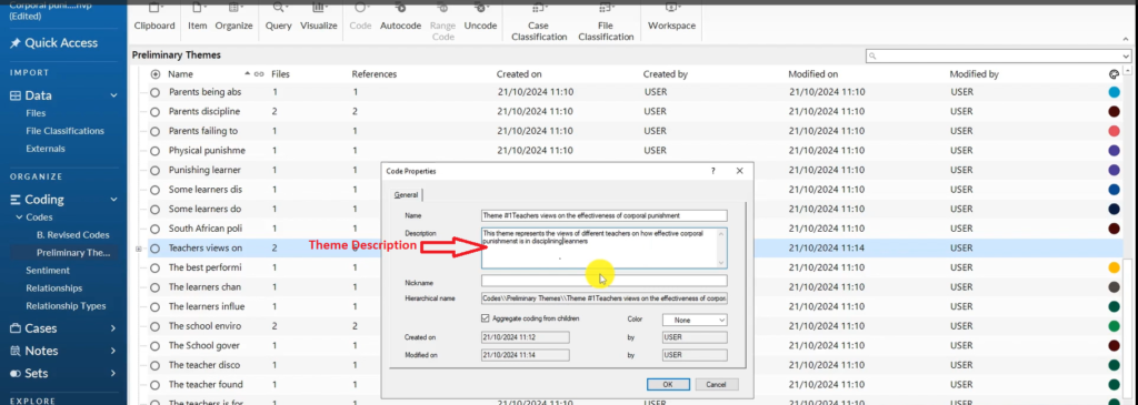 Image showing the description of a theme in Nvivo 14