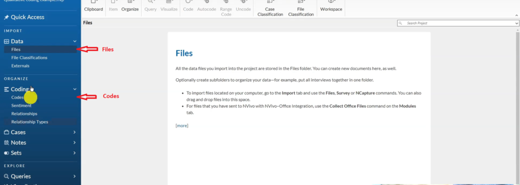 Image showing the files and the codes section in Nvivo