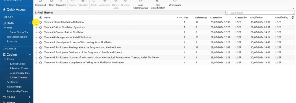 Image showing themes in Nvivo 14