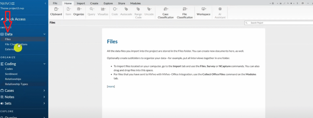 Transcript/file importing section in NVivo 15