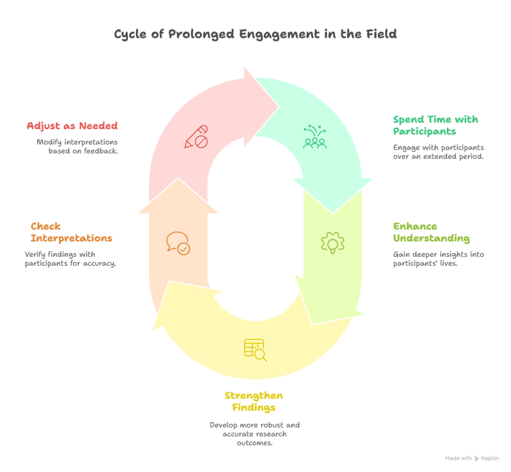 Cycle of prolonged engagement in the field highlighting key elements to verify our findings in qualitative research