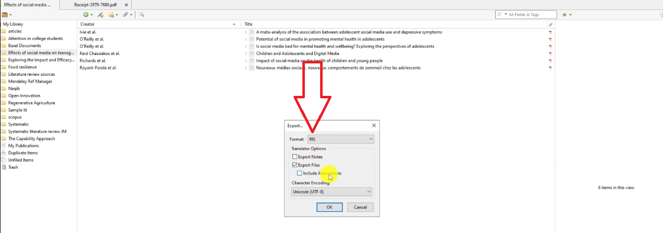 How to conduct a systematic literature review using N-Vivo.