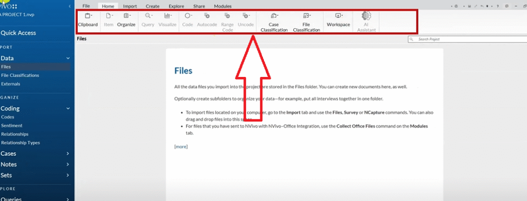 NVivo toolbar showing coding, case classification, and AI Assistant tools for thematic analysis.
