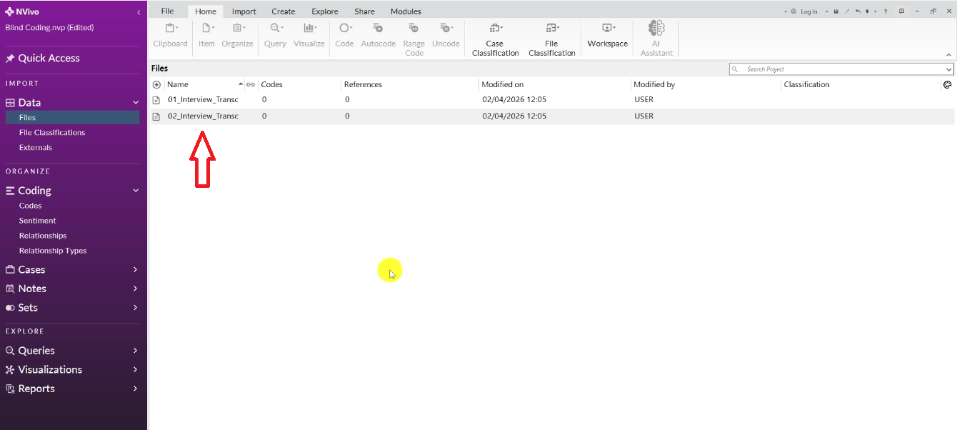 Illustrated guide on imported transcripts inside N-Vivo