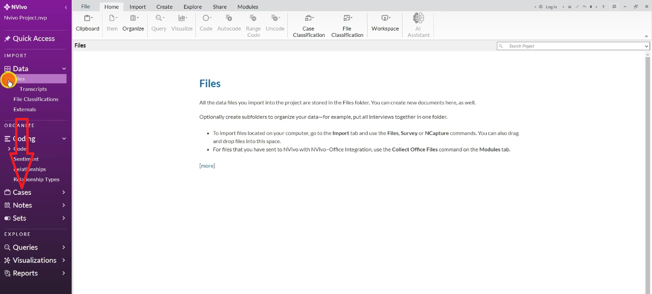 NVivo cases section showing participant transcripts converted to cases for project map]