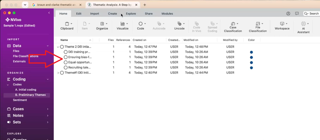 Screenshot showing related DEI codes grouped together under a single named theme in NVivo for Mac.