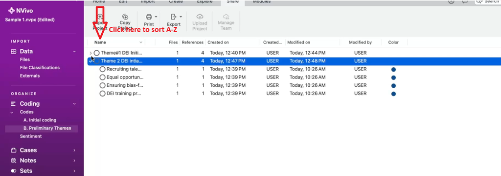 Screenshot showing themes sorted alphabetically by clicking the Name field in NVivo’s codebook view.