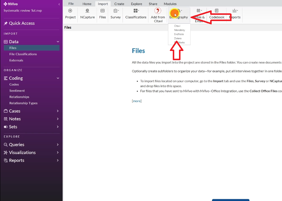 NVivo import menu with the Bibliography option selected, used to import a RIS file from Zotero