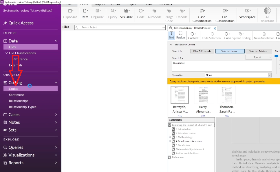 Codes section in NVivo