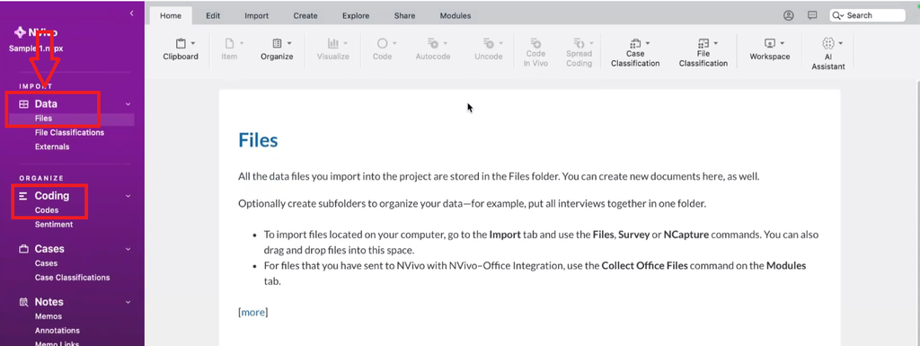 NVivo for Mac project workspace showing Files and Codes sections for thematic analysis