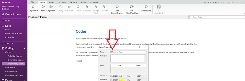 Screenshot of NVivo's Folder Properties dialog naming a folder "C Preliminary themes," with a red arrow pointing to the Name field.
