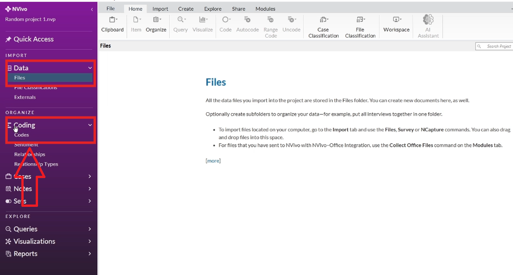 NVivo sidebar highlighting the Files and Coding sections