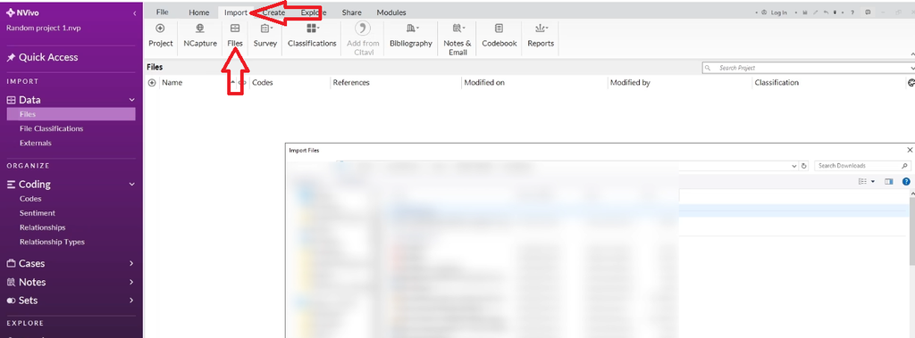 "Files" button highlighted on NVivo's Import ribbon