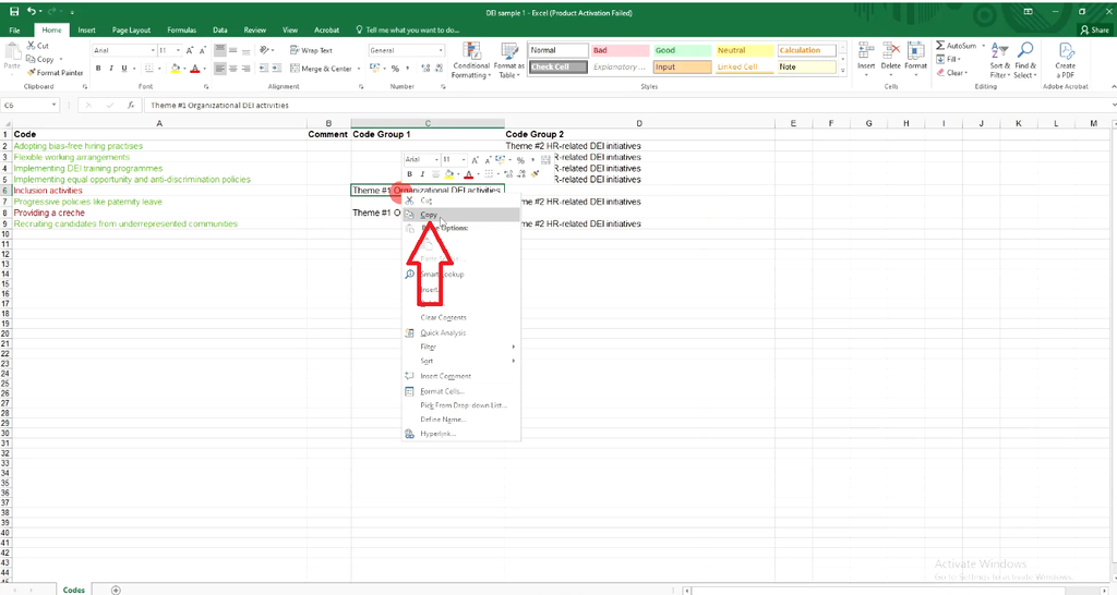 Copying the Theme #1 Organizational DEI activities cell from the exported codebook in Excel