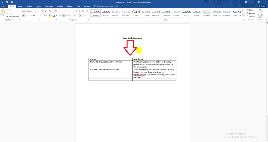 Completed thematic analysis themes and descriptions table for organizational DEI and HR-related DEI initiatives