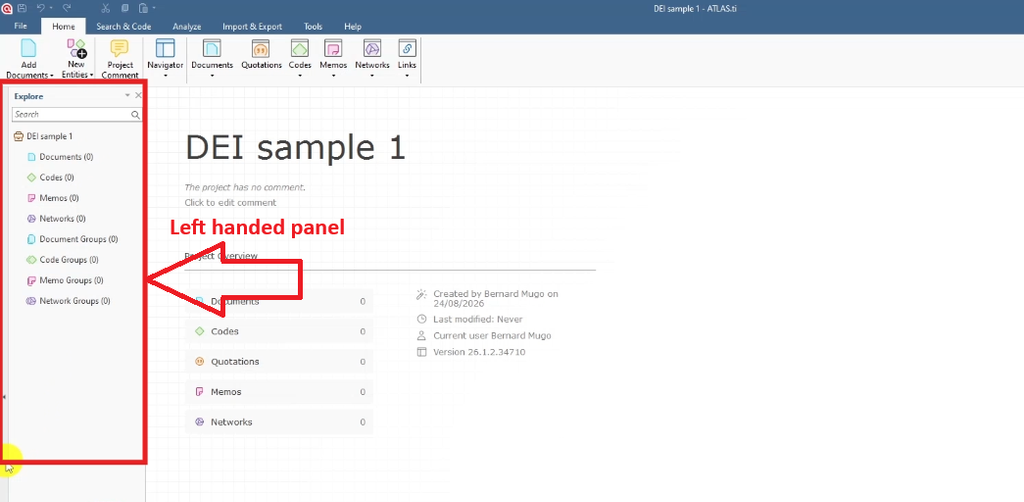 The left-hand panel, where your project's documents, codes, memos, and networks live.